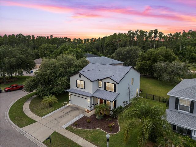 6053 EVERLASTING PLACE, Land O Lakes, FL 34639