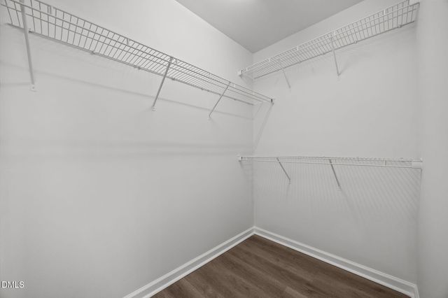 1305 Tawny View Lane, Raleigh, NC 27603