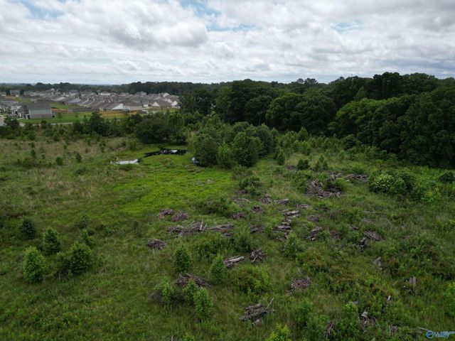 26 acres Ed Ray Road, Athens, AL 35613