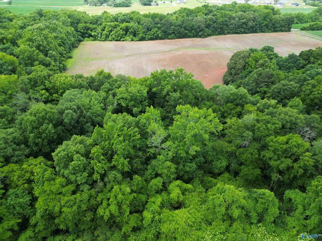 26 acres Ed Ray Road, Athens, AL 35613
