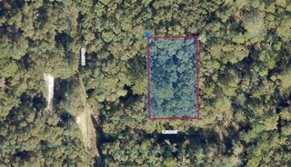 00 NE 239TH STREET, Fort Mc Coy, FL 32134
