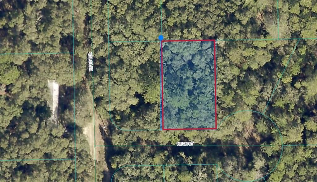 00 NE 239TH STREET, Fort Mc Coy, FL 32134
