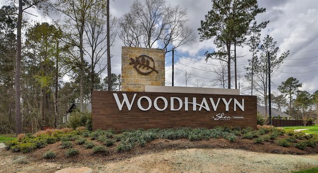 29775 Brushy Gables Drive, Magnolia, TX 77354