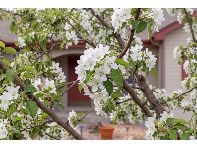 3027 Indigo Ct, Fort Collins, CO 80528