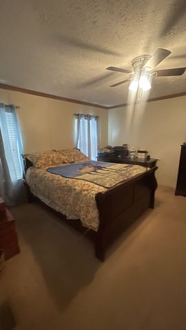 75 Snell Rd, Ethridge, TN 38456