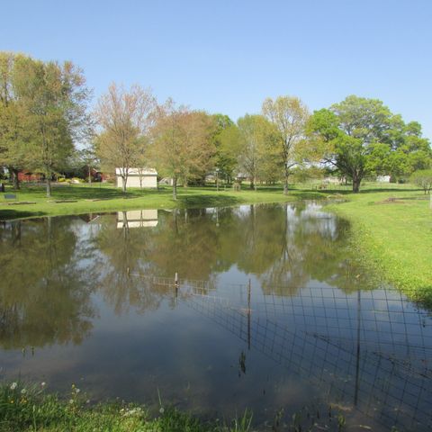 75 Snell Rd, Ethridge, TN 38456