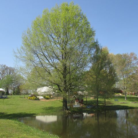 75 Snell Rd, Ethridge, TN 38456