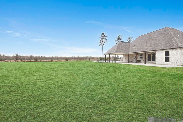 18056 Critter Cove Ln, Livingston, LA 70754