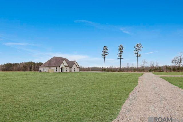18056 Critter Cove Ln, Livingston, LA 70754