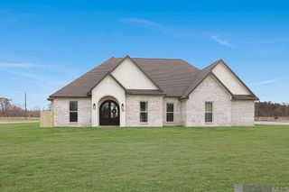 18056 Critter Cove Ln, Livingston, LA 70754