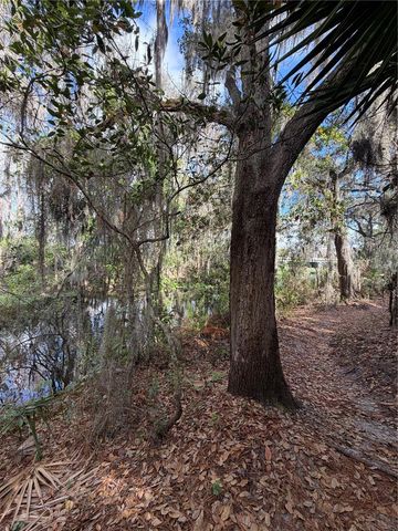 14535 CAPLOCK DRIVE, Orlando, FL 32837