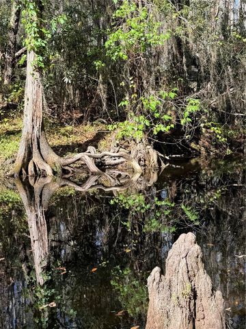 14535 CAPLOCK DRIVE, Orlando, FL 32837