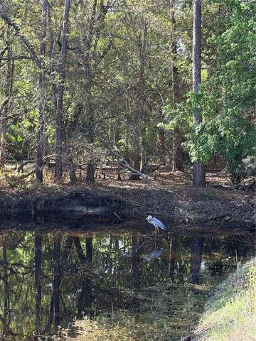 14535 CAPLOCK DRIVE, Orlando, FL 32837