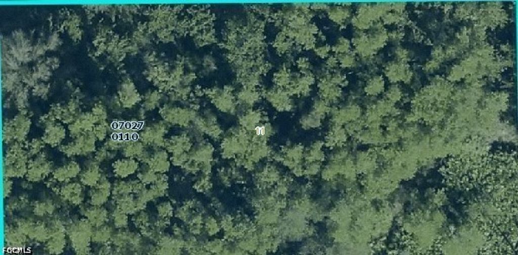 1002 Robert AVE, Lehigh Acres, FL 33936