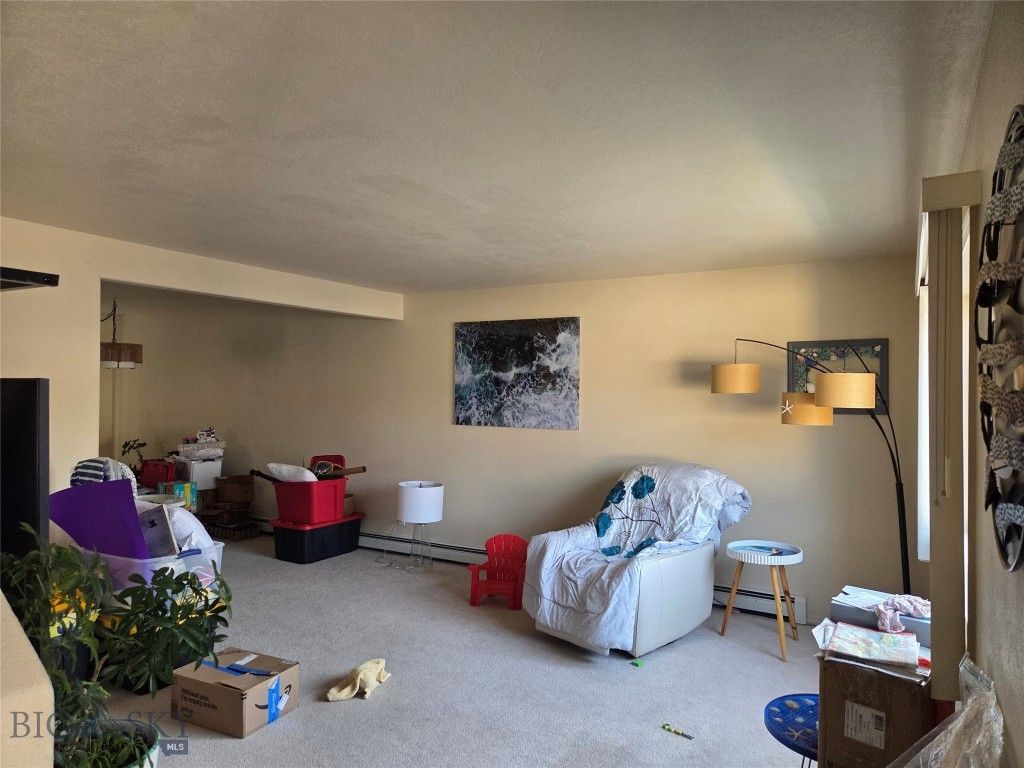 2943 Nevada, Butte, MT 5901 photo 4