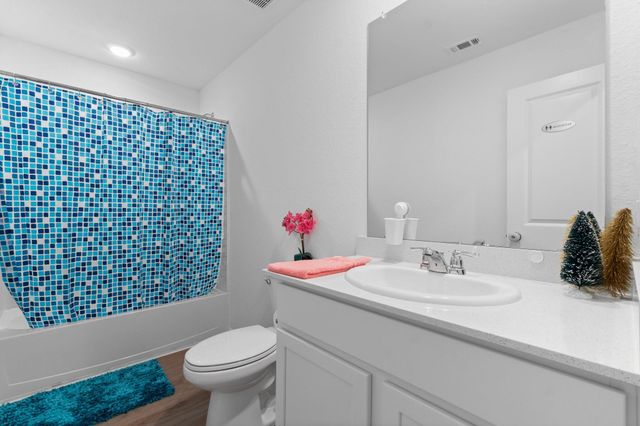 20846 Masella Ridge Drive, New Caney, TX 77357