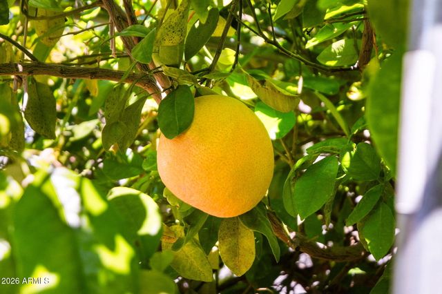 2482 W ARROYO Way, San Tan Valley, AZ 85144