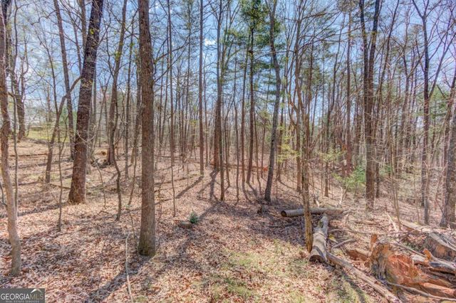 47 Tobacco Pouch Creek Road, Dahlonega, GA 30533