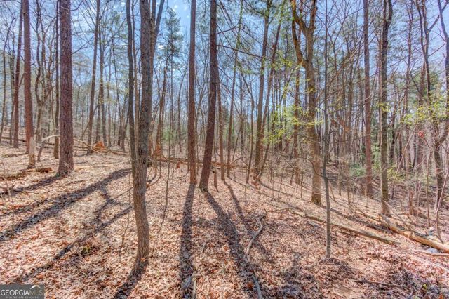 47 Tobacco Pouch Creek Road, Dahlonega, GA 30533