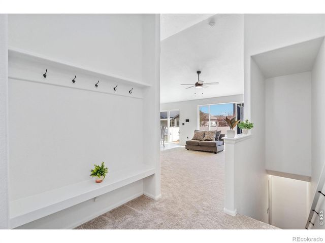 259 Castle Drive, Severance, CO 80550