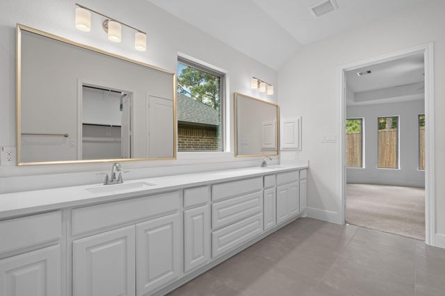 10014 Larkin Cove, Willis, TX 77318