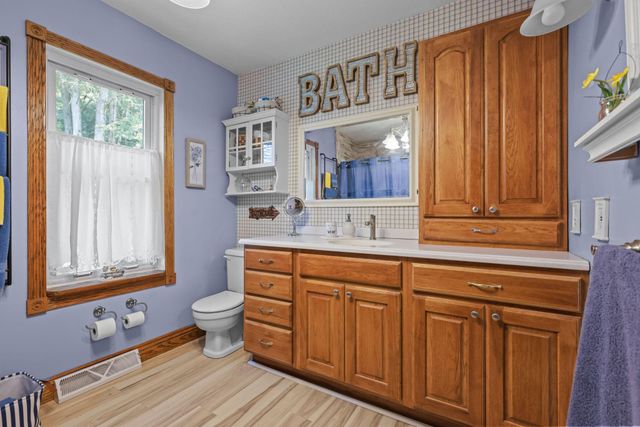 35301 Lily Street NW, Springvale Twp, MN 55008