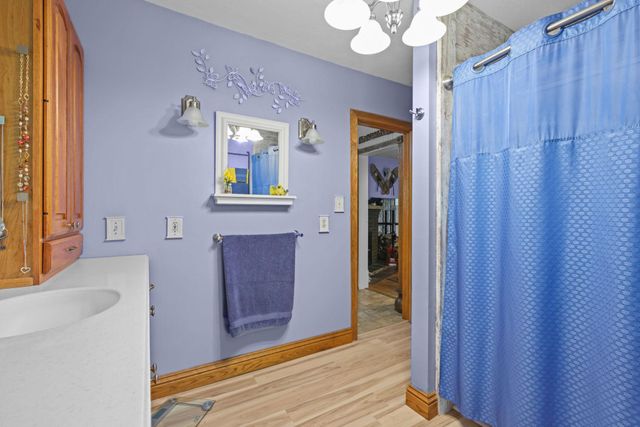 35301 Lily Street NW, Springvale Twp, MN 55008