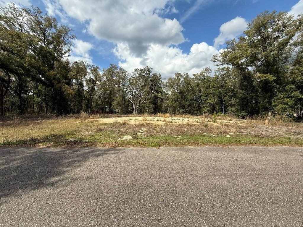 5 FISHER LANE COURSE, Ocklawaha, FL 32179