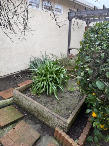 3350 Spring Garden Dr, Turlock, CA 95382