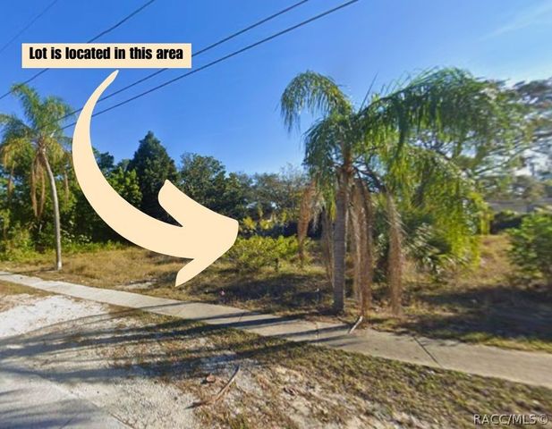 1987 PARK Avenue, Tarpon Springs, FL 34689