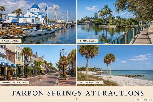 1987 PARK Avenue, Tarpon Springs, FL 34689