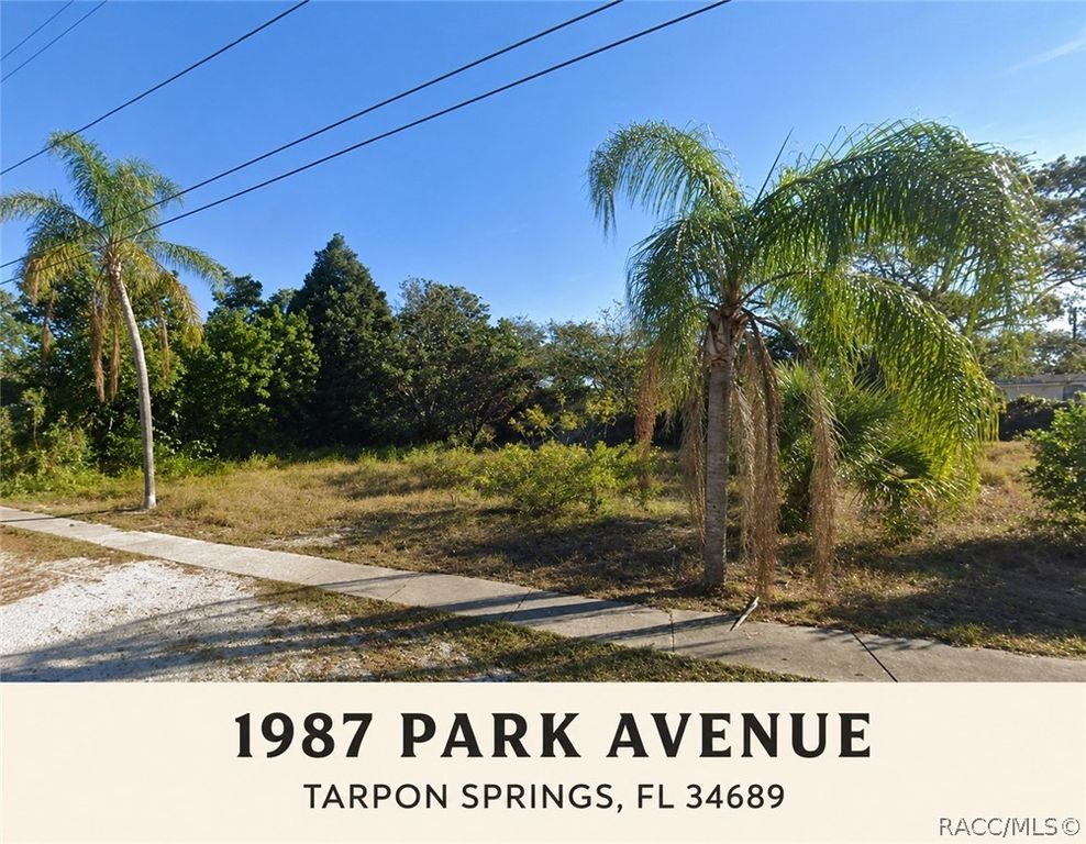 1987 PARK Avenue, Tarpon Springs, FL 34689