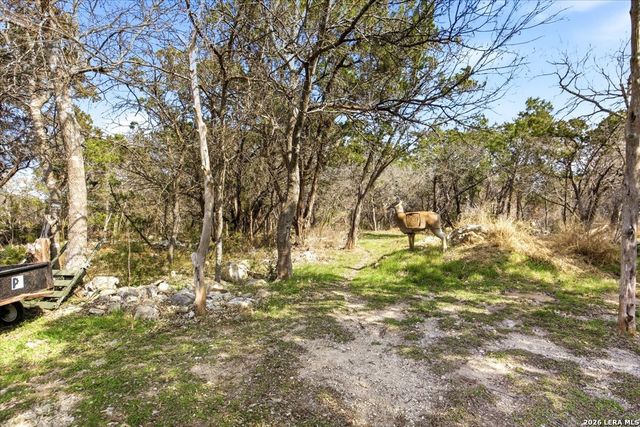 28012 Bonn Mountain, San Antonio, TX 78260