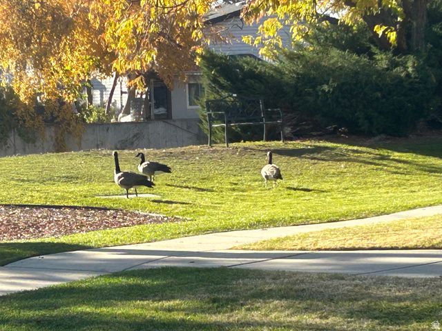 238 E DETROITER CIR, Murray, UT 84107