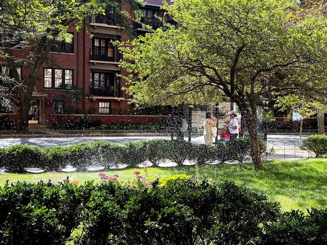 5050 S East End Avenue 4B, Chicago, IL 60615