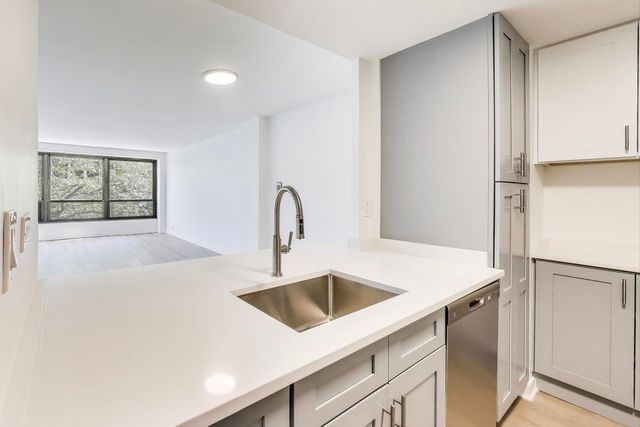 5050 S East End Avenue 4B, Chicago, IL 60615