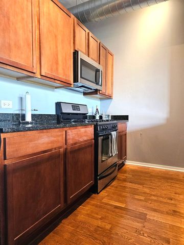 2323 W Pershing Road 230, Chicago, IL 60609