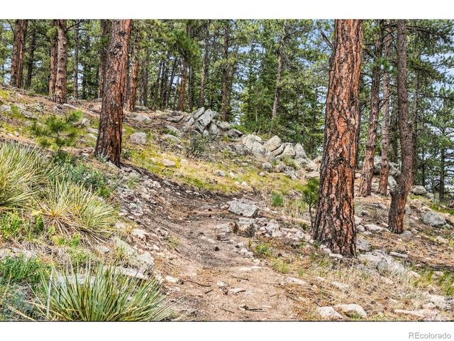 575 Reed Ranch Road, Boulder, CO 80302