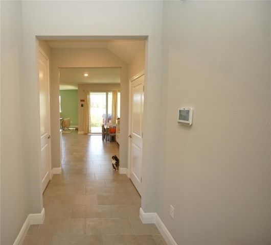 22990 SCAGLIONE DRIVE, Lutz, FL 33549