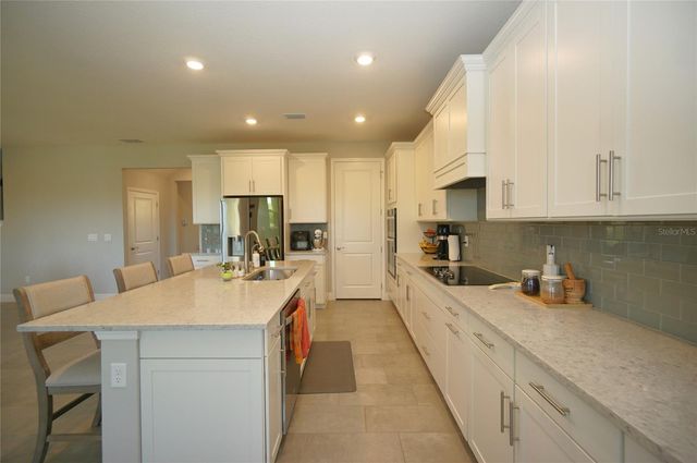 22990 SCAGLIONE DRIVE, Lutz, FL 33549