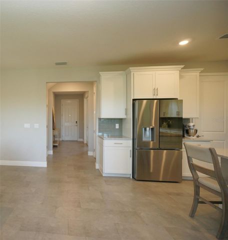 22990 SCAGLIONE DRIVE, Lutz, FL 33549