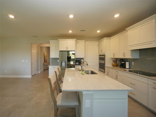 22990 SCAGLIONE DRIVE, Lutz, FL 33549