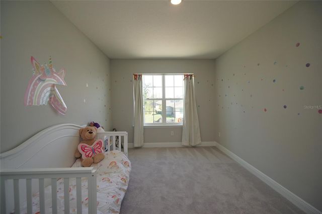 22990 SCAGLIONE DRIVE, Lutz, FL 33549