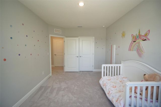 22990 SCAGLIONE DRIVE, Lutz, FL 33549