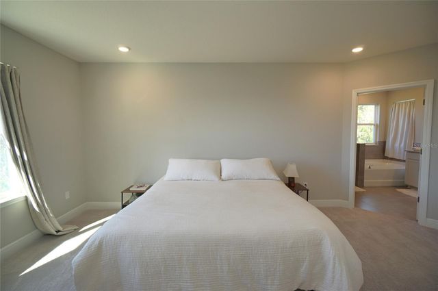 22990 SCAGLIONE DRIVE, Lutz, FL 33549