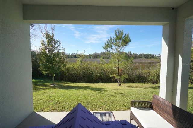 22990 SCAGLIONE DRIVE, Lutz, FL 33549