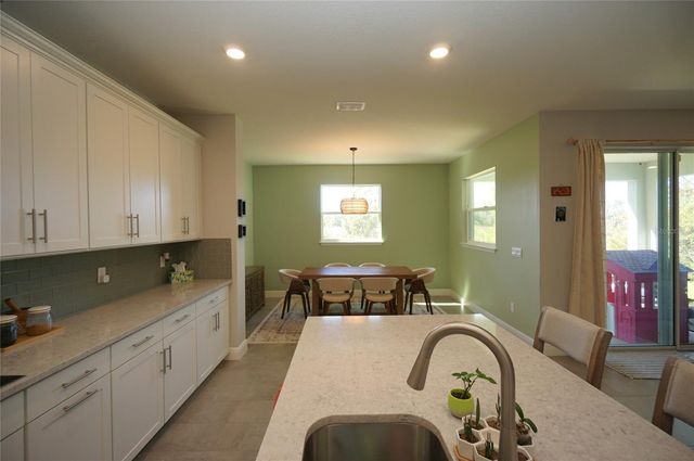 22990 SCAGLIONE DRIVE, Lutz, FL 33549