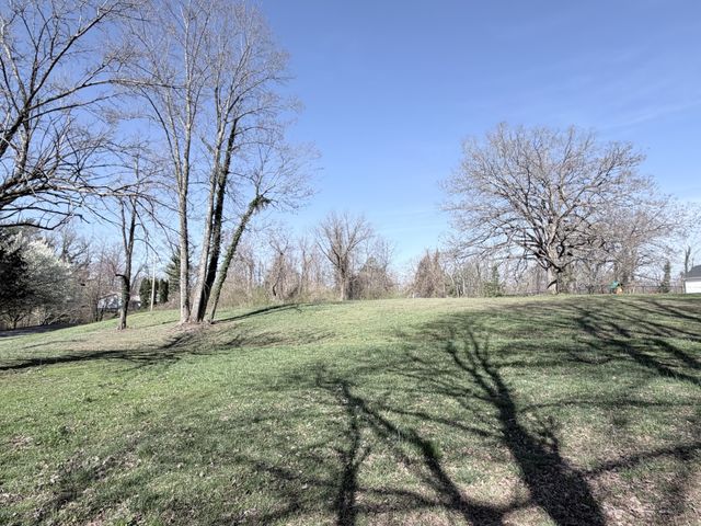 0 4th Street, Monteagle, TN 37356