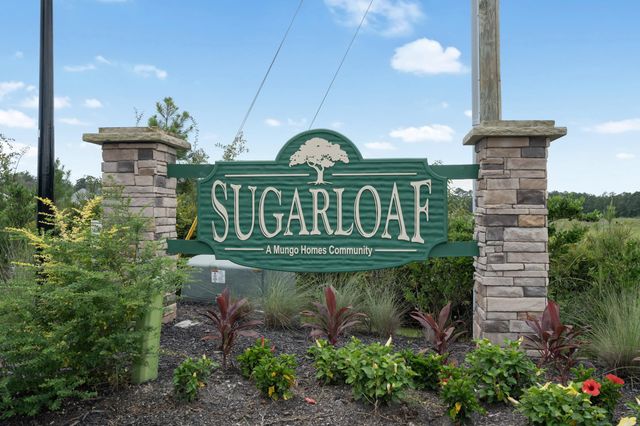228 Averyville Dr., Conway, SC 29526