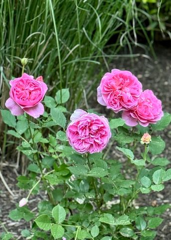 15 Southville Road, Southborough, MA 01772